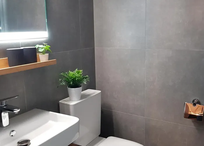 Valere C 233 * 洛伊克巴德