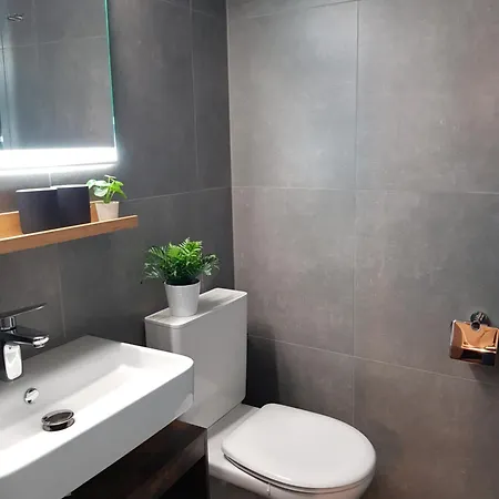 Valere C 233 * ロイカーバード